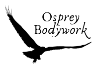 Osprey Bodywork logo